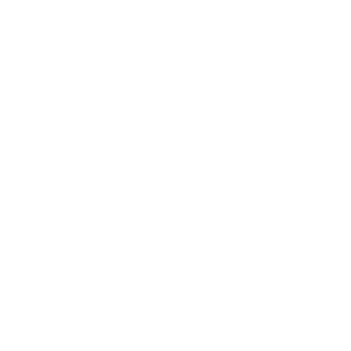 image borked